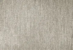 Beige | Latte